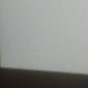 IMG00115.jpg