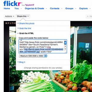 newflickrsave.png