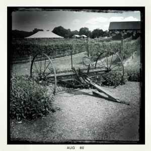 IMG_0944_2.jpeg