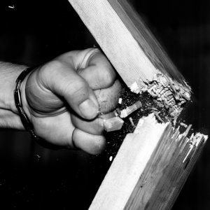 08_2010_NikonD700v2_ 2.jpg