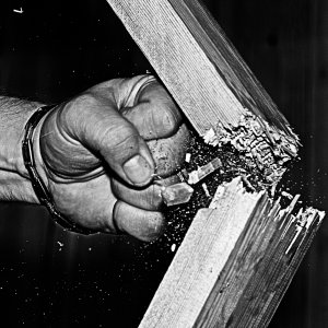 08_2010_NikonD700v2_ 2 (1).jpg