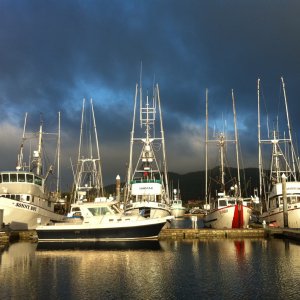 Boats.jpg