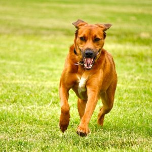 2010-06-30 at 14-24-43.jpg