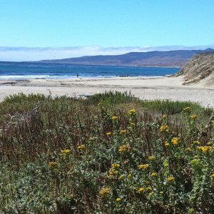 Jalama beach view3.jpg