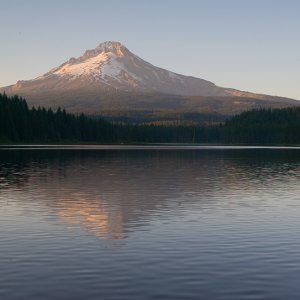 Trillium From Road.jpg