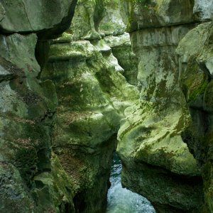 gorgesdufier (1).jpg