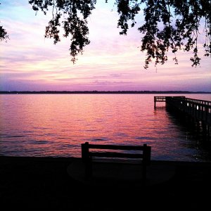 photo 3.jpg