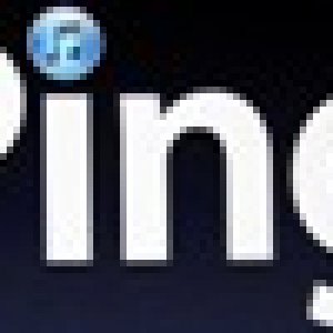 Ping.jpg