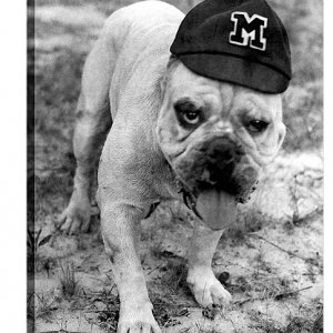 MSU-Mississippi-State-Bulldogs-Traditions-4.jpg