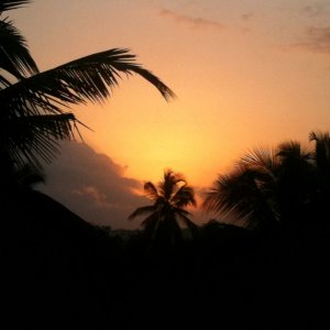 IMG_0697.JPG