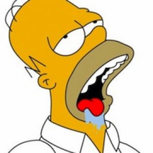 large_homer.drool.jpg
