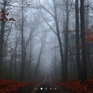 iphone%20home%20screen.jpg
