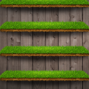 photo 4.PNG