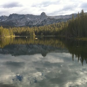 IMG_1145 copy.jpg