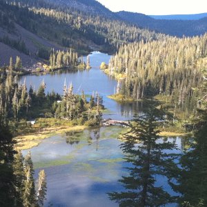 IMG_1151 copy.jpg
