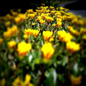 IMG_0022.JPG