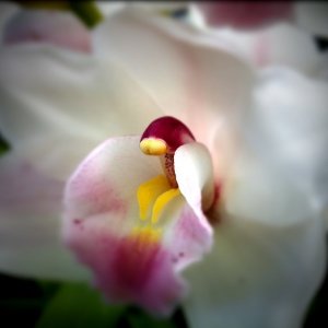 IMG_0028.JPG