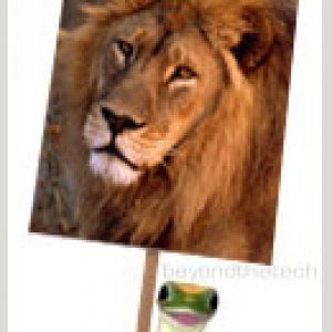 osx_gecko.jpg