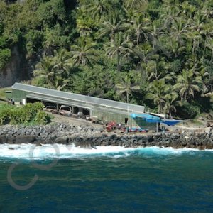 Pitcairn  003.jpg