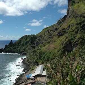 Pitcairn  006.jpg