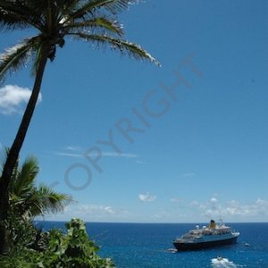 Pitcairn  018.jpg
