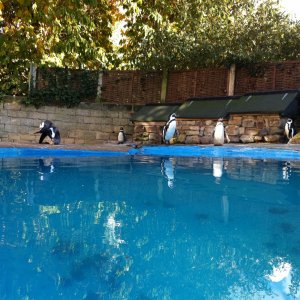 IMG_0760_small.jpg