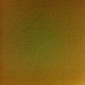 IMG_0349.jpg