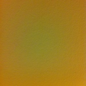 IMG_0348.jpg