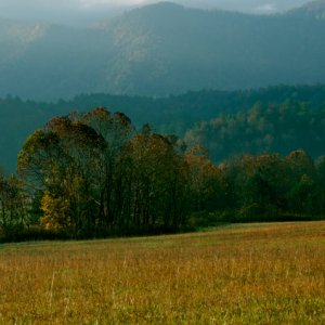 Cades Cove 29 Oct 2010.jpg