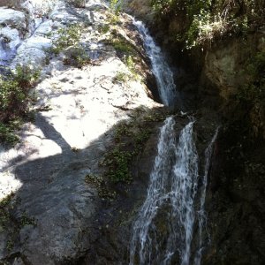 IMG_0310.jpg