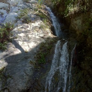 IMG_0311.jpg