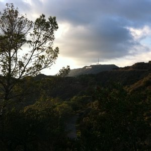 IMG_0350.jpg