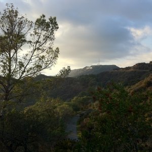 IMG_0351.jpg