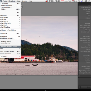 Screen shot 2010-11-11 at 2.48.37 PM.png