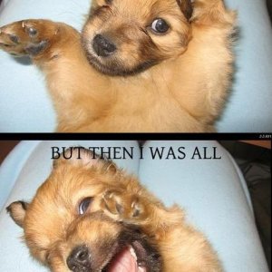 Atfirst I was like.jpg