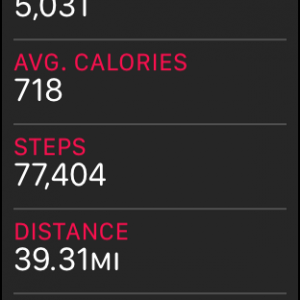 STEPS.png
