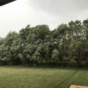 C3C149E4-C6E8-4140-B587-D41E91B96CC8.jpeg