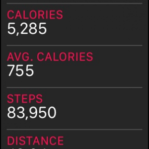 STEPS.png