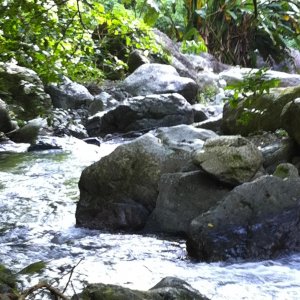 IMG_0806.jpg