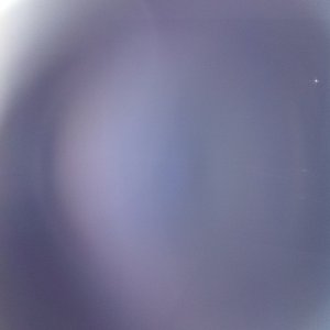 010.JPG