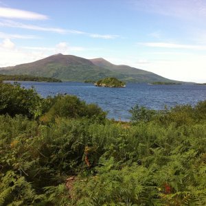 IMG_0352.JPG