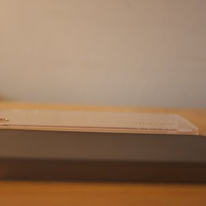 IMG_5784.jpg