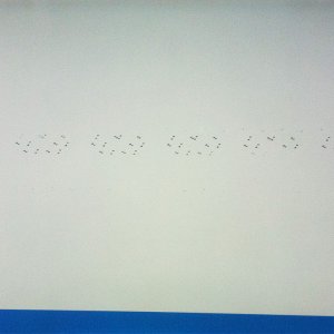 43699596.jpg