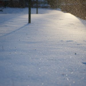 11_2010_NikonD700v2_ 44.jpg