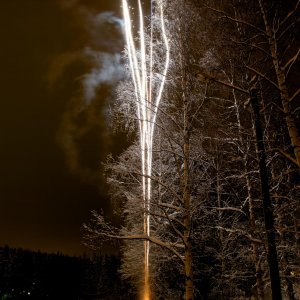 12_2010_NikonD700v2_ 66 (1).jpg