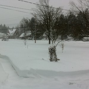 colored_snow.jpg