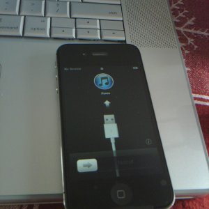 2011-02-07 14.03.28.jpg