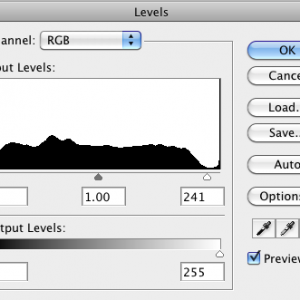 Screen shot 2011-02-08 at 10.06.38 AM.png