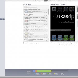 Screen shot 2011-02-12 at 3.06.31 PM.jpg