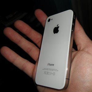 SAM_0725.jpg